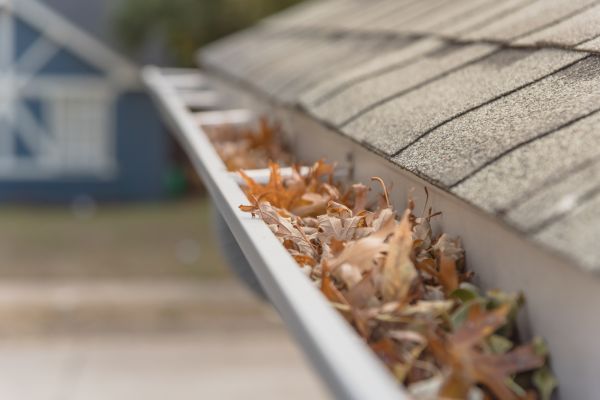 Leaf Barrier Installation in Marysville
